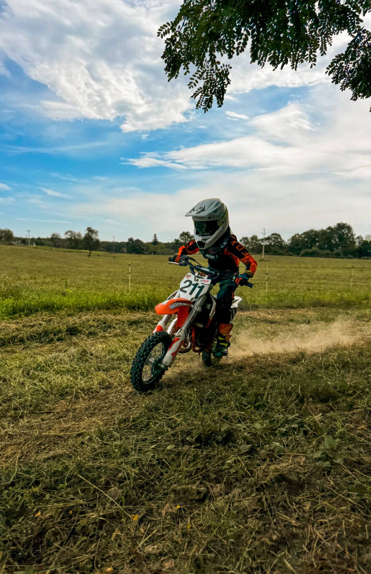 2026 Mato Josip Schütt 