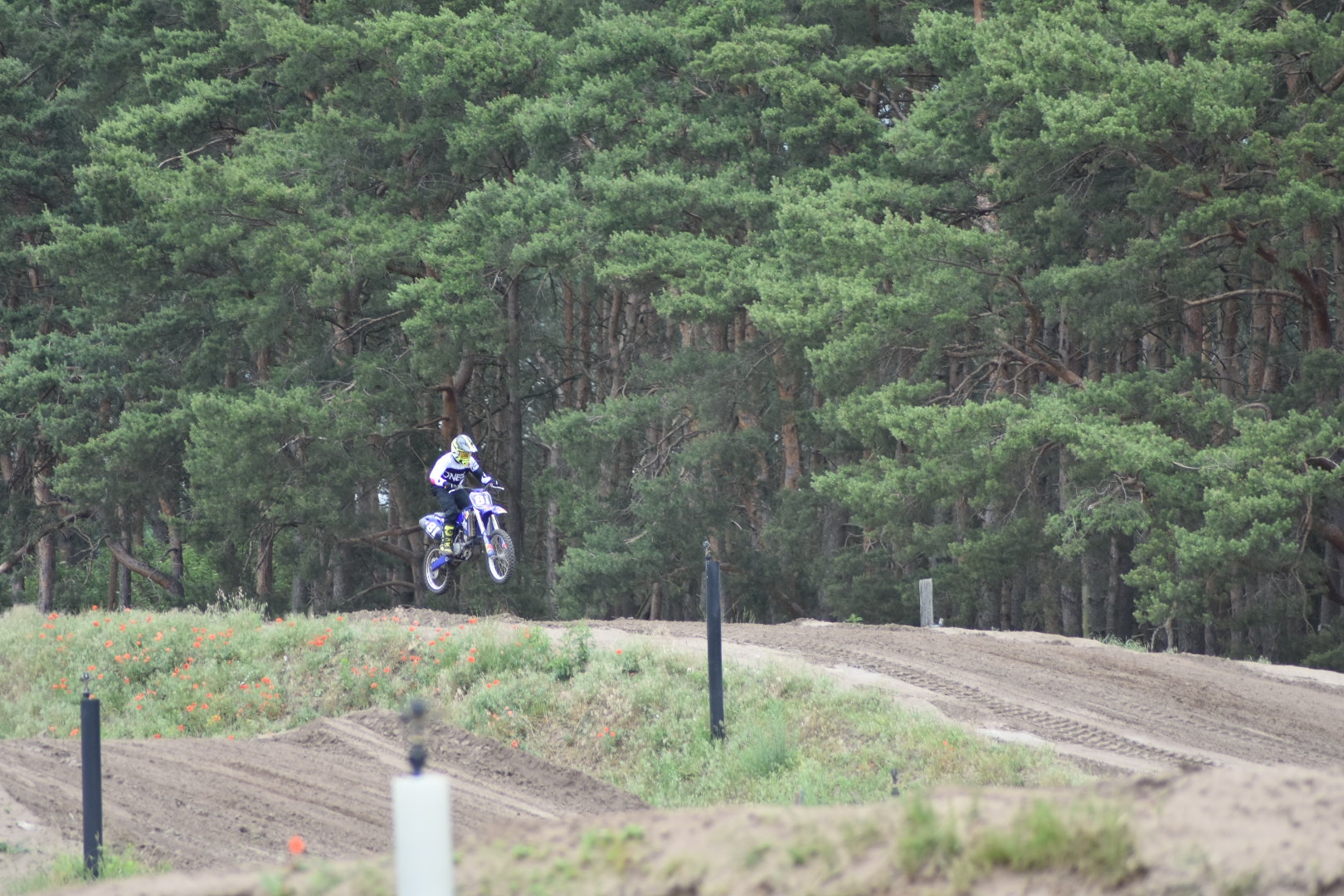 2021 Jose Lucas  Kersten