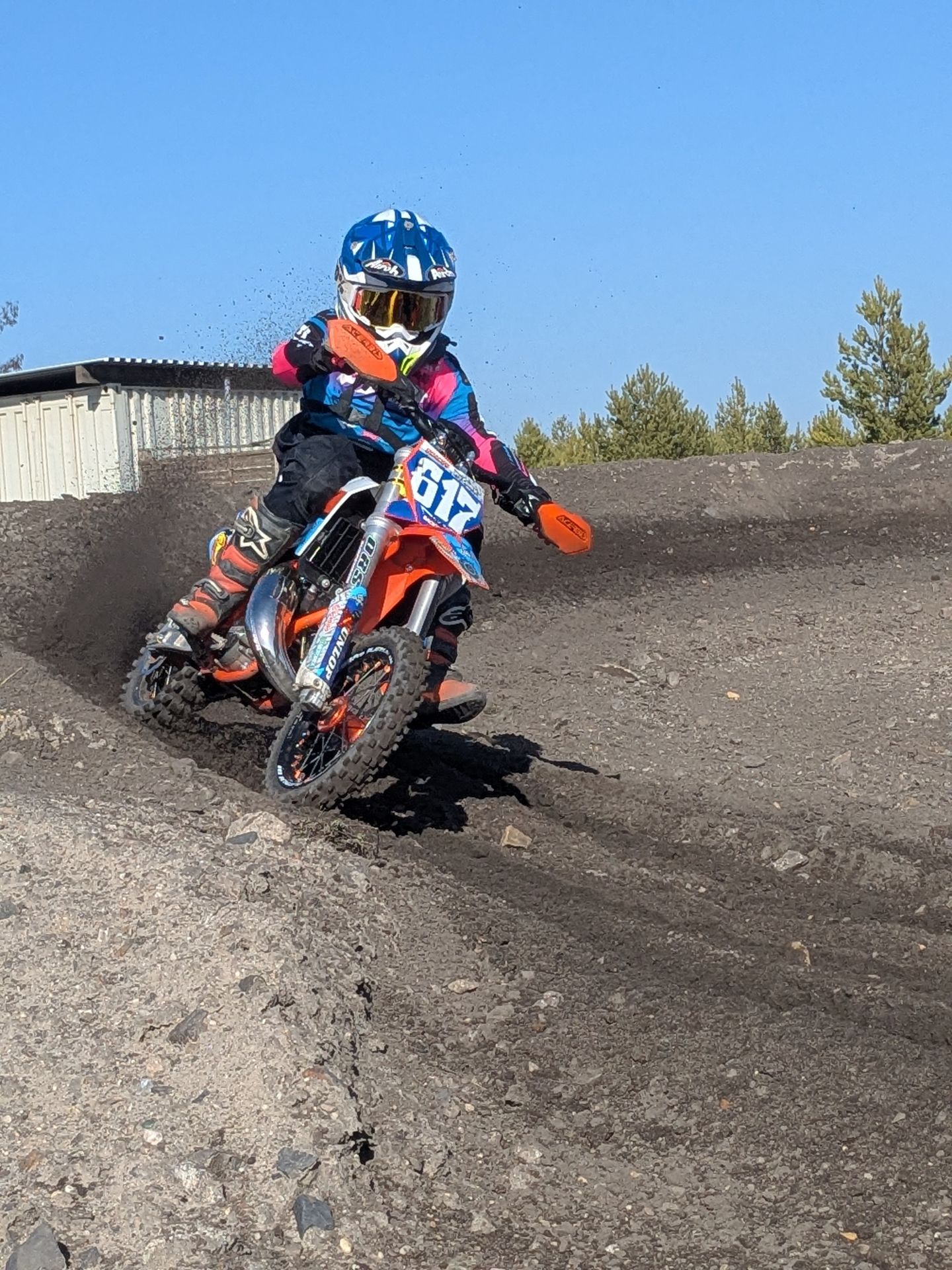 2026 Willy  Grünberg