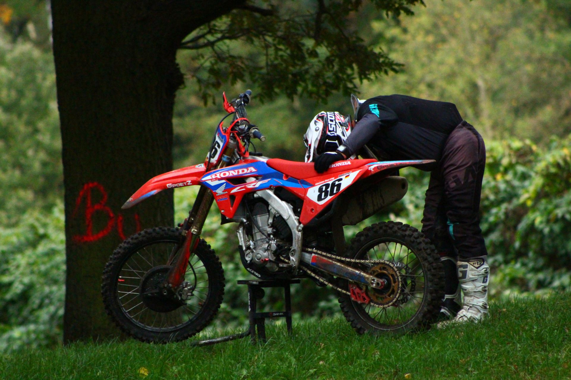 Profilbild Daniel Graetz