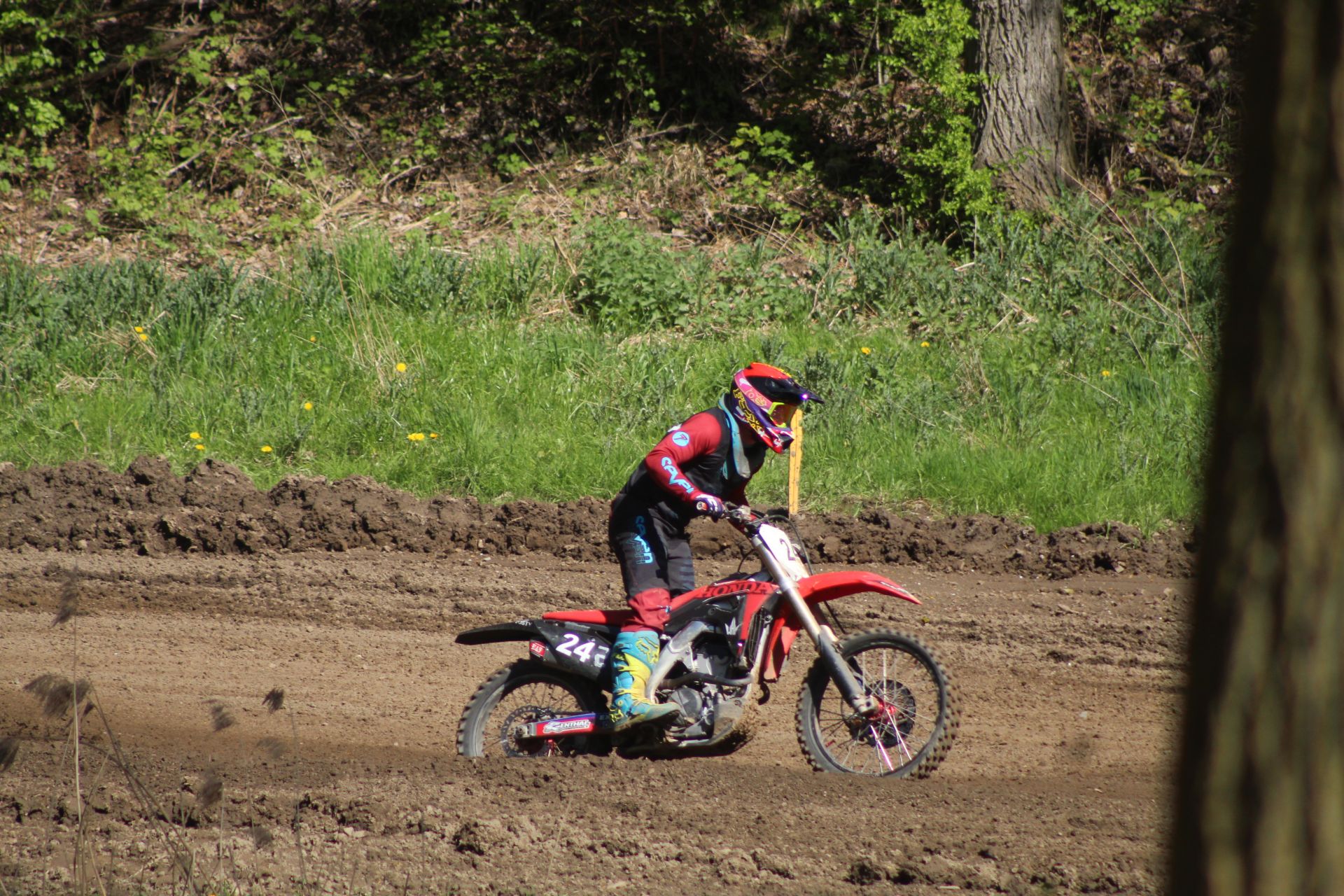 Profilbild Dennis  Engler 