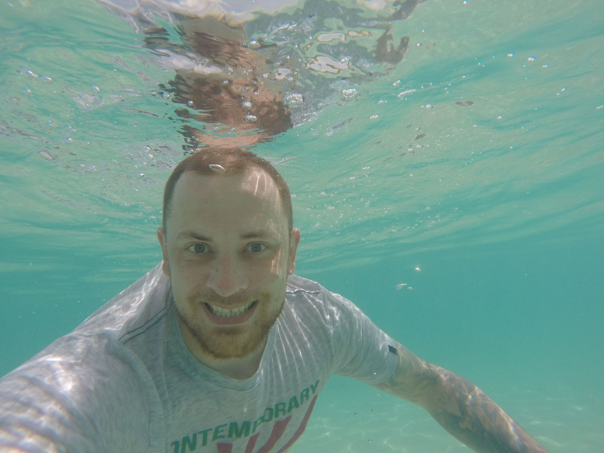 Profilbild Dennis Wiedmann 