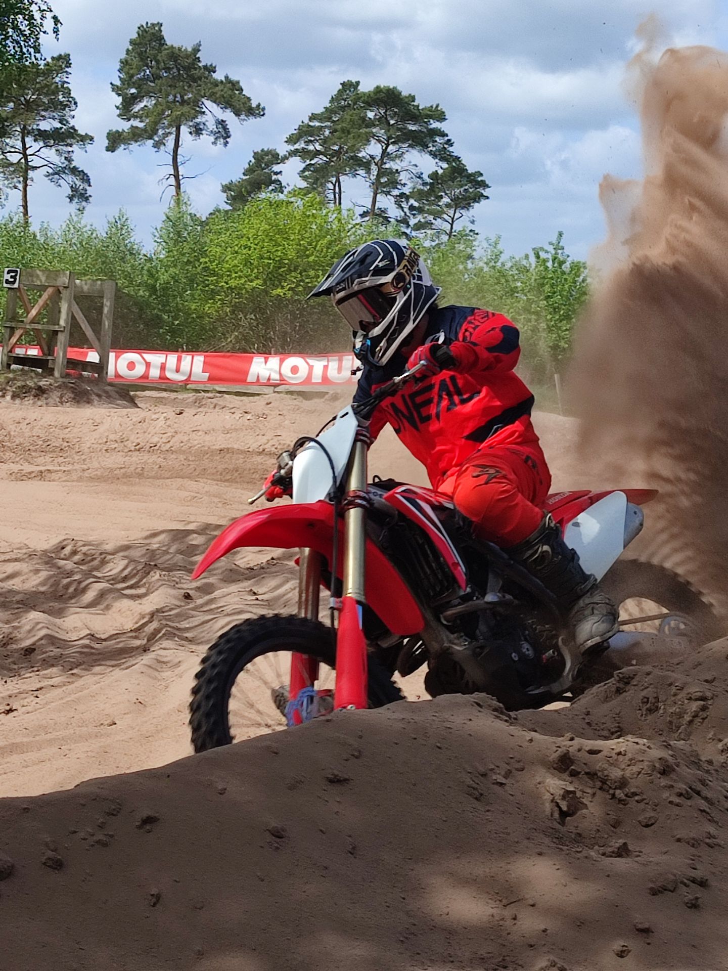 Profilbild Joanna  Wolf