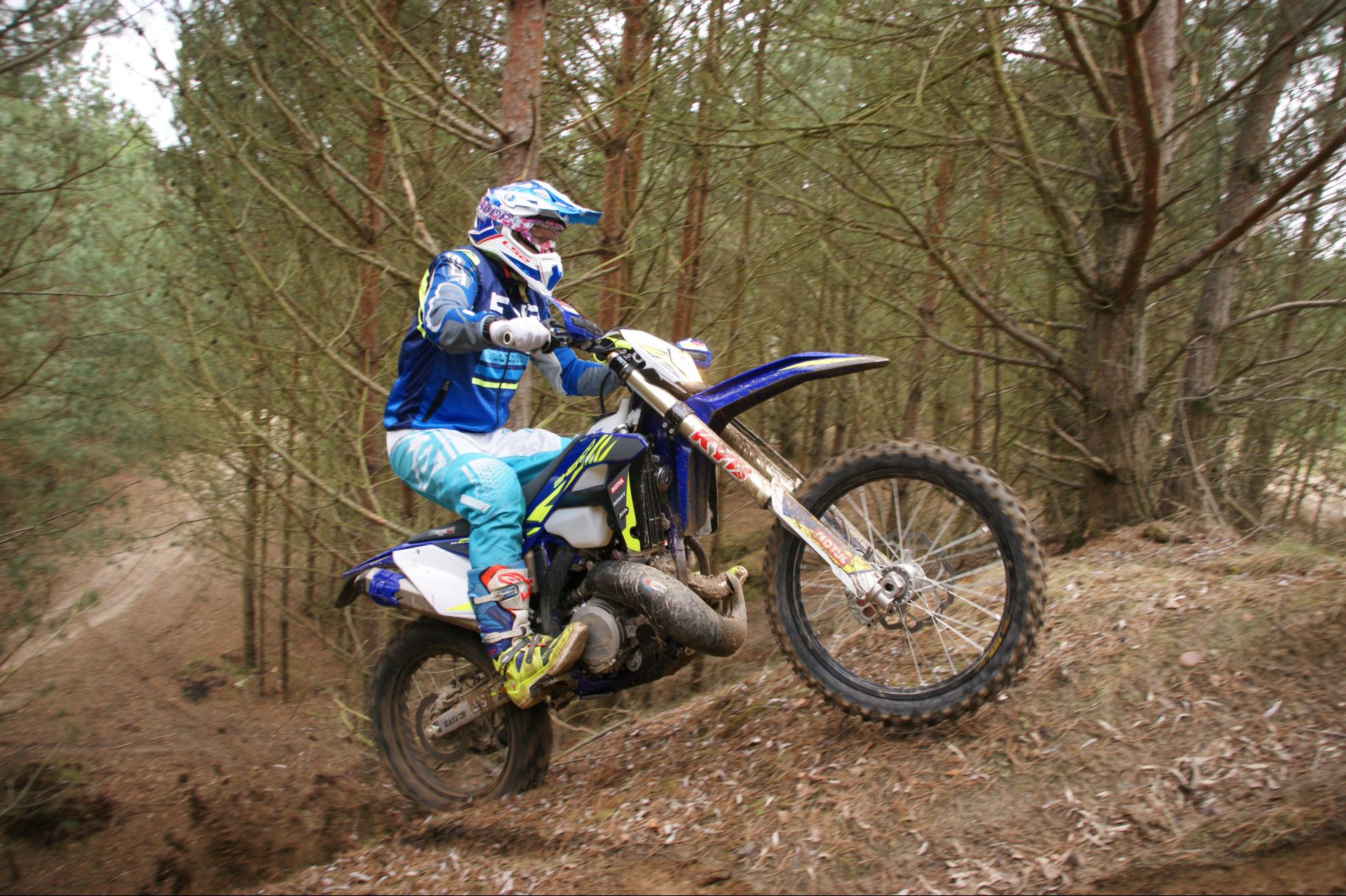 Profilbild Jörg Schlosser