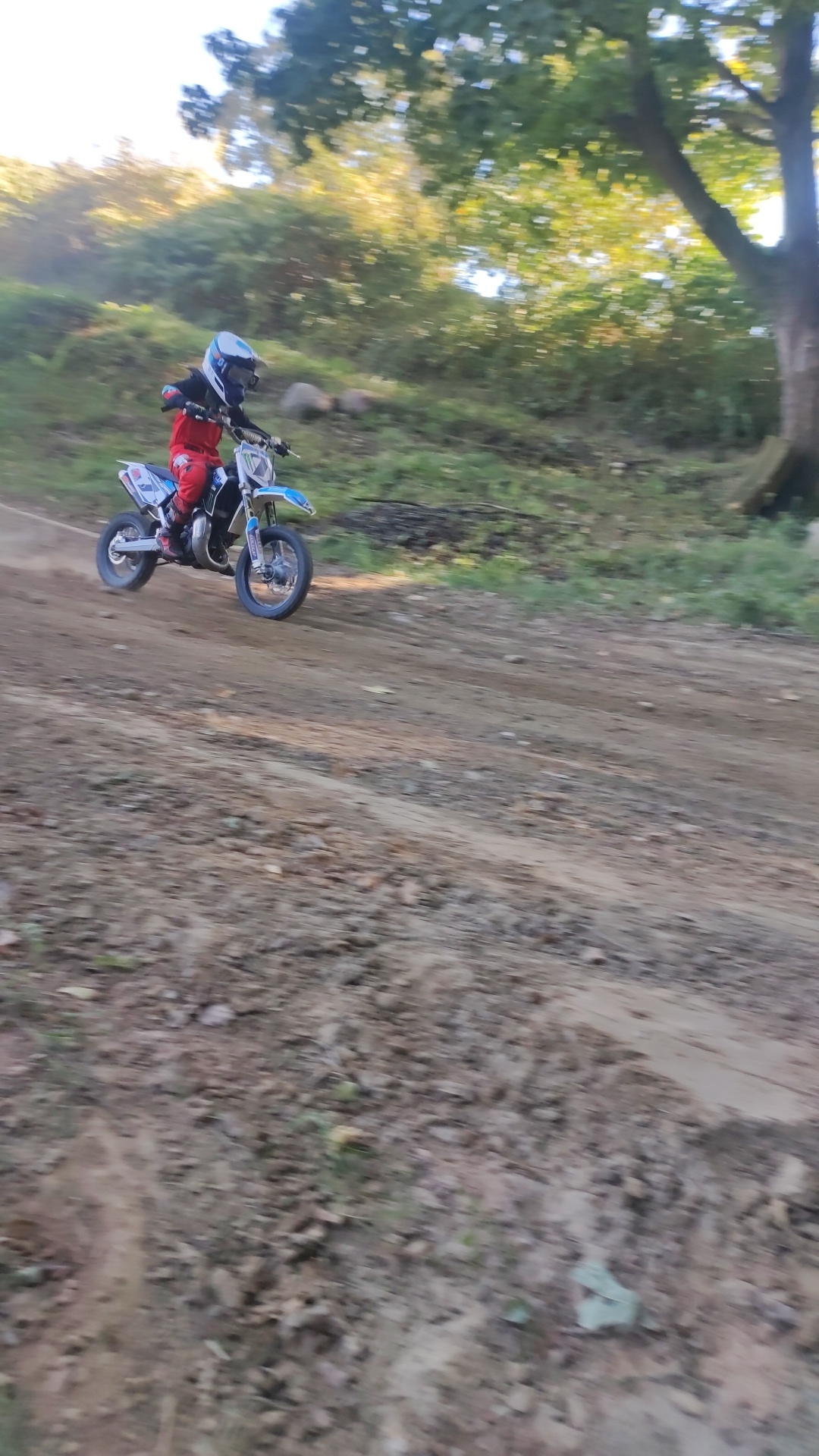 Profilbild Lino Porath