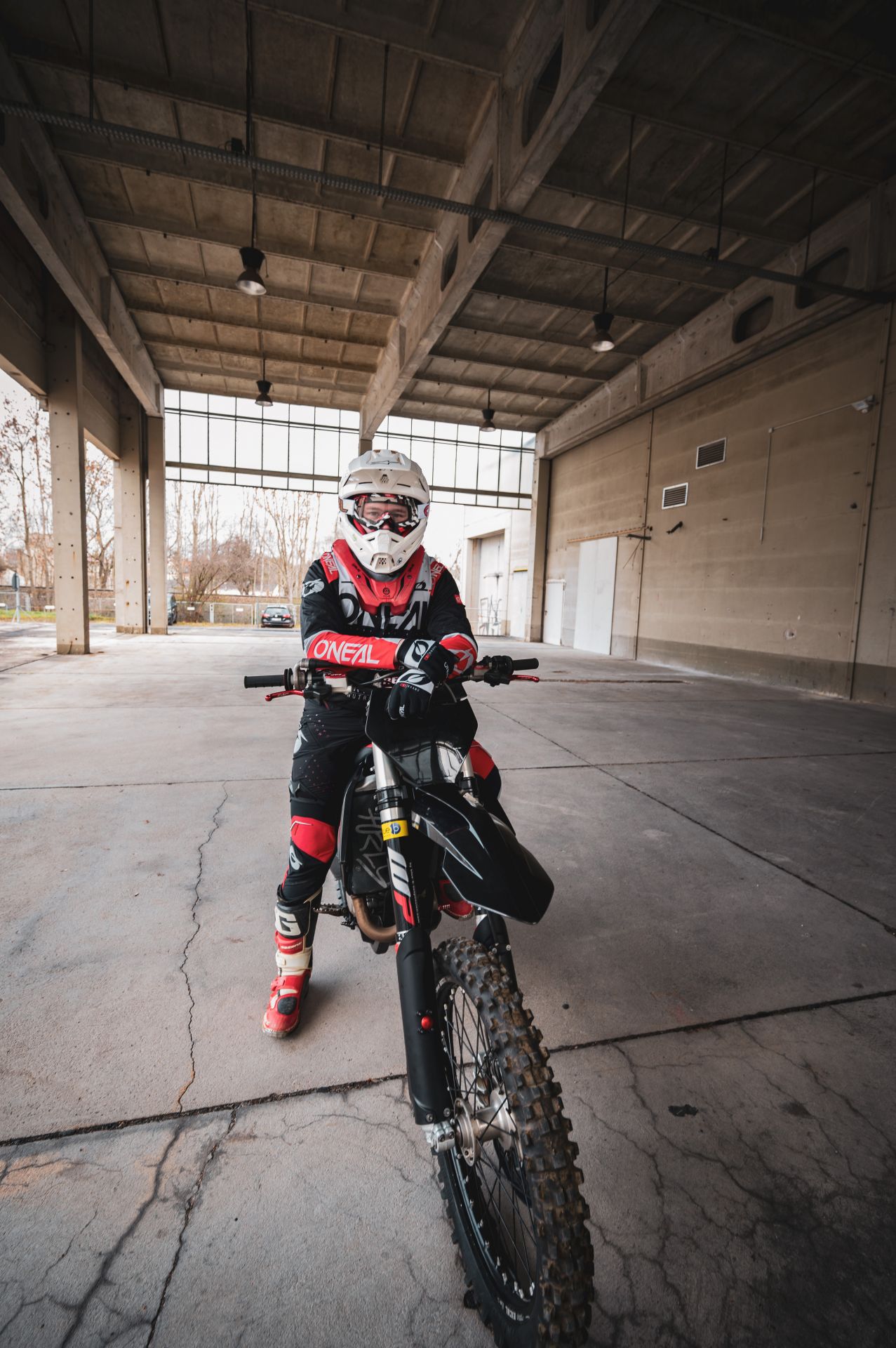 Profilbild Linus Schneider