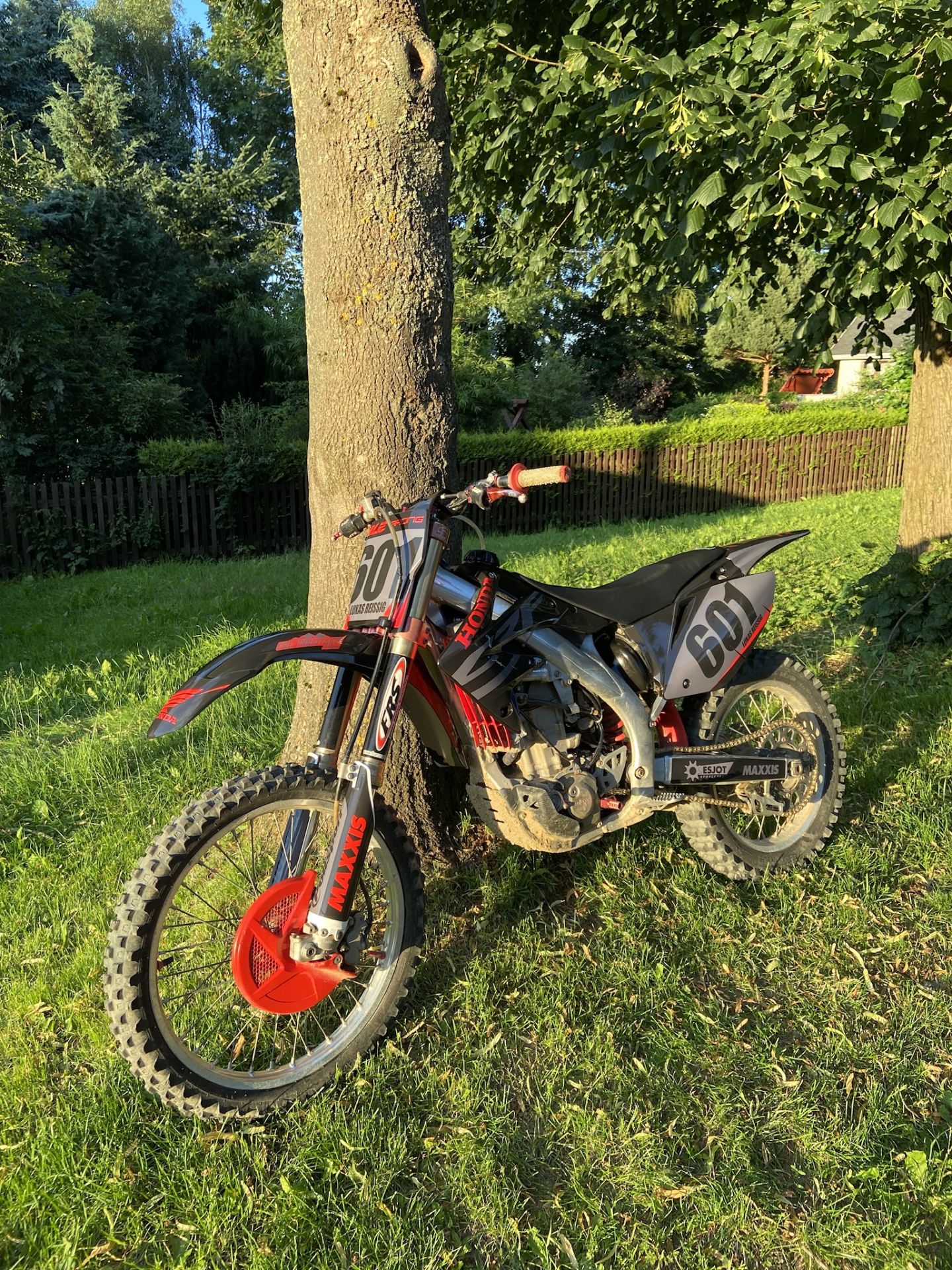 Profilbild Lukas Reissig