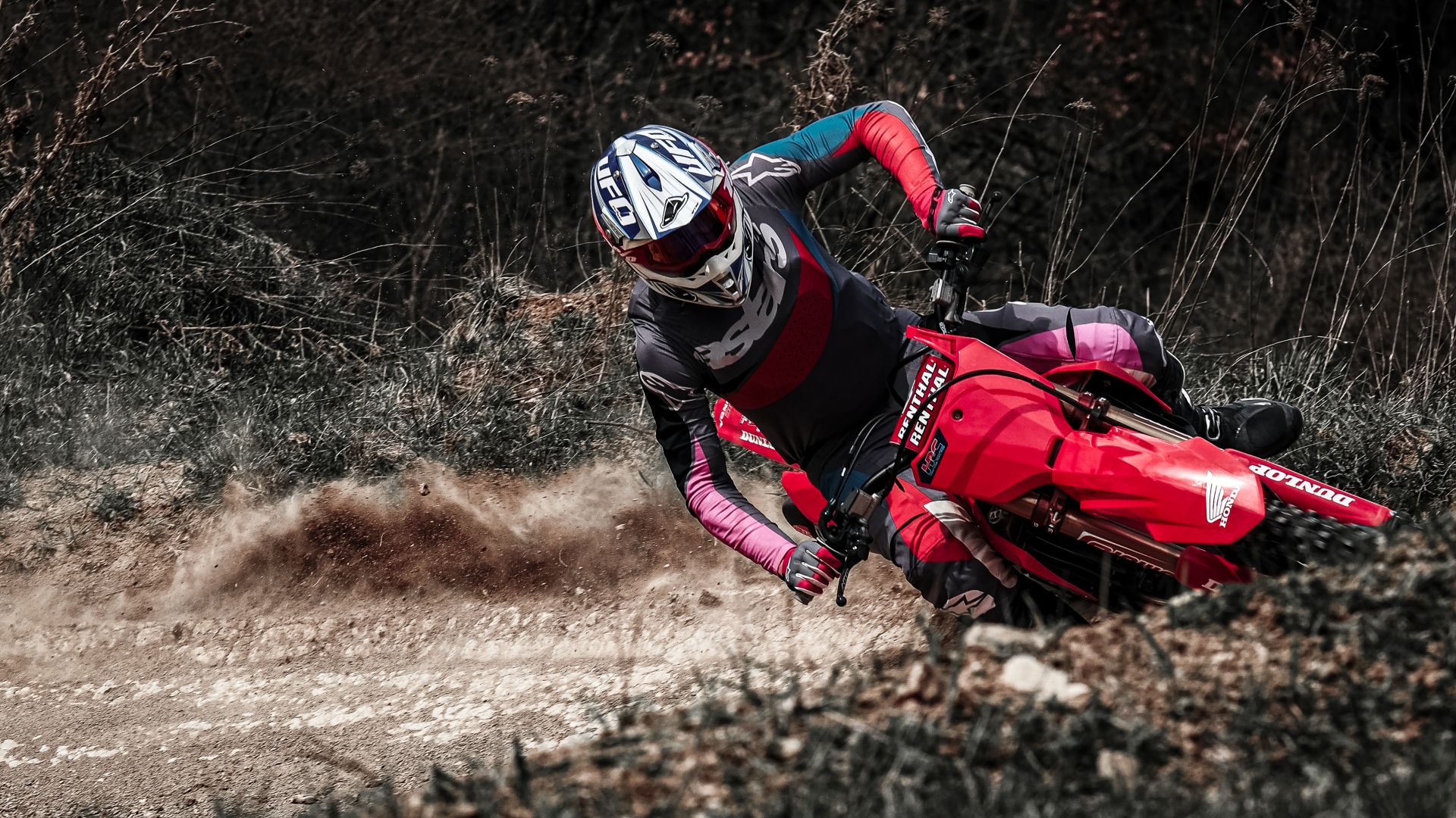 Profilbild Marco Meier