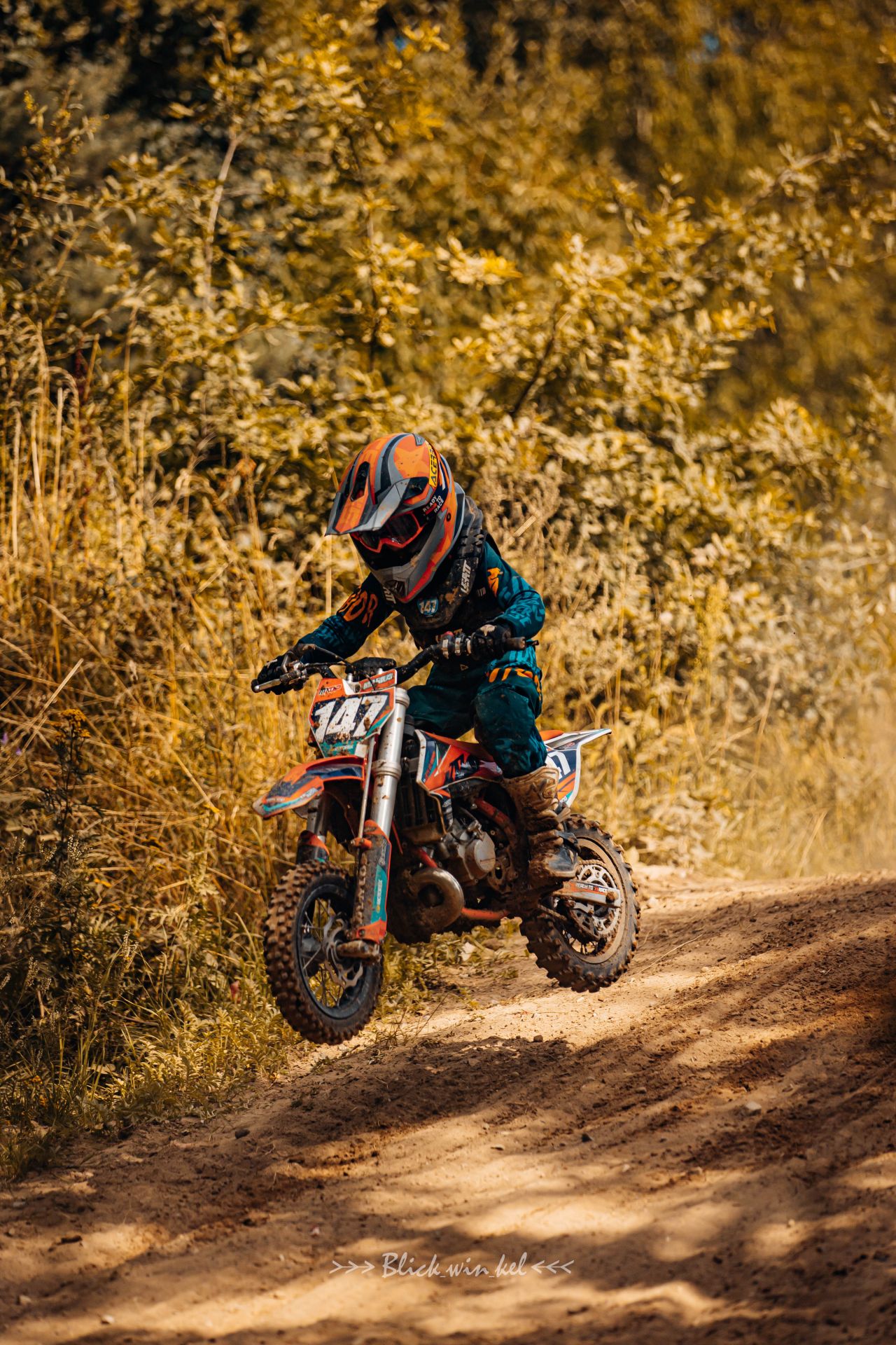 Profilbild Marius Winkler