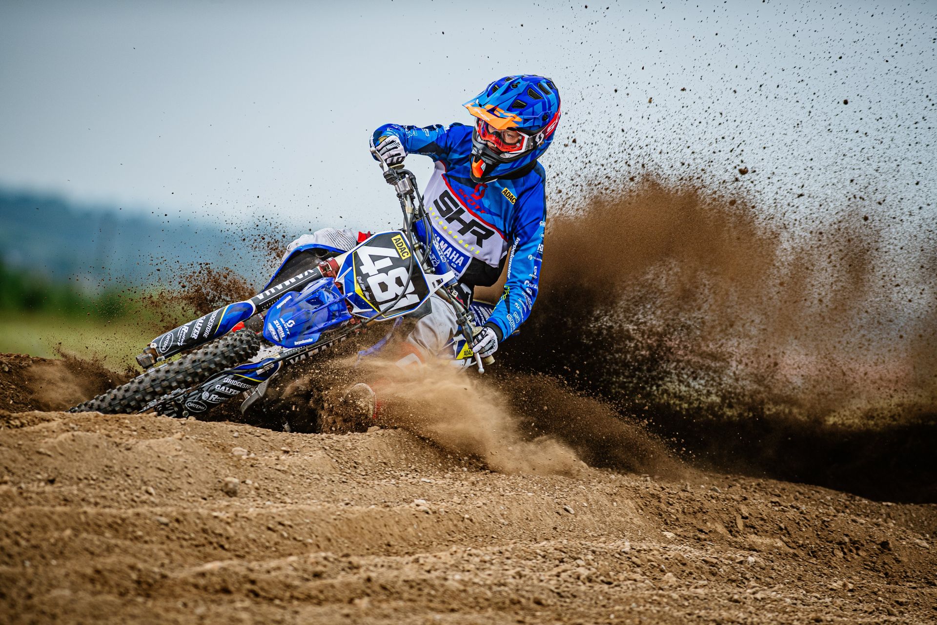 Profilbild Roel  van Ham