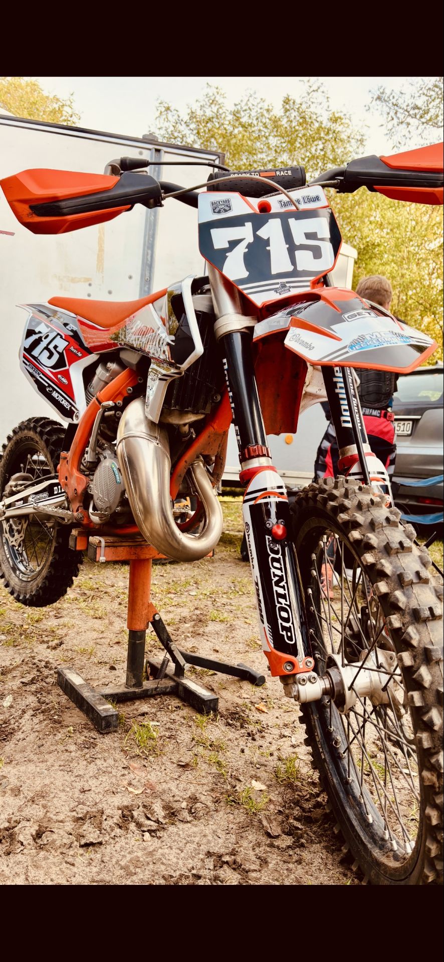 Profilbild Tamme Löwe