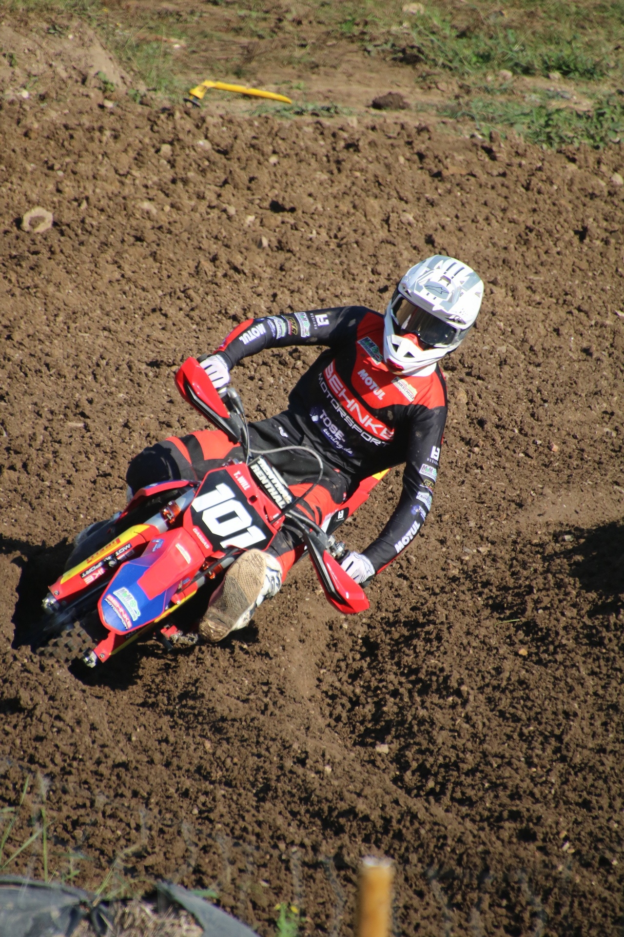 Profilbild Torgeir Will