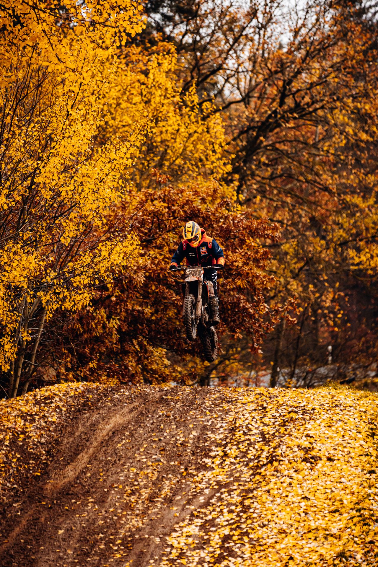 Profilbild Travis  Hermann