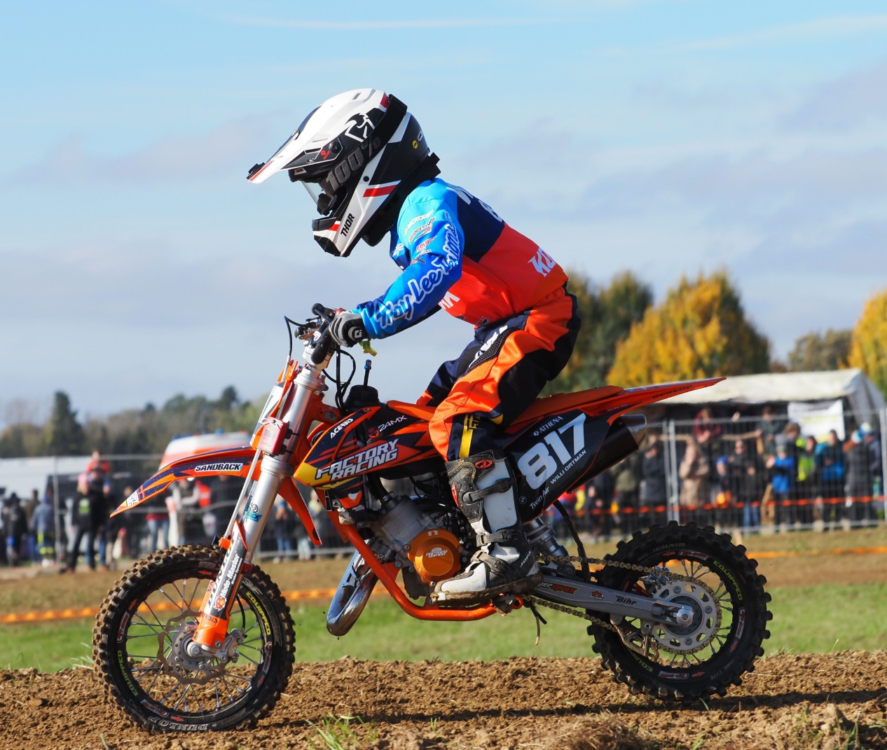 Profilbild Willi Ortman